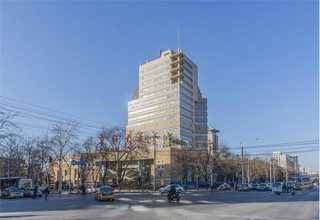 浙江果蔬净化机生产厂家